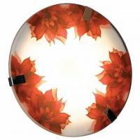 Накладной светильник Lussole Cascano LSN-5252-01