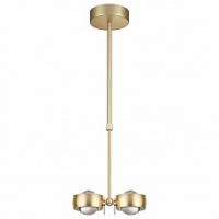 Светильник на штанге Odeon Light Ottico 3874/20L. Фото №1