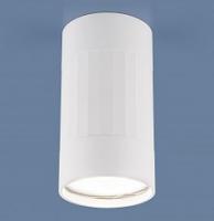 Накладной светильник Elektrostandard DLN111 a047754. Фото №1