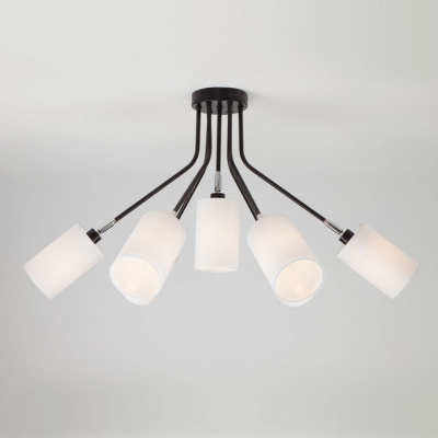 Потолочная люстра Eurosvet Duetto 70072/7 белый. Фото №2