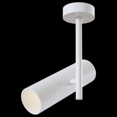 Светильник на штанге Maytoni Elti C020CL-01W. Фото №2
