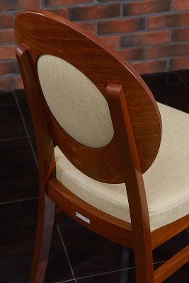 Стул  Арго-М. Фото №5