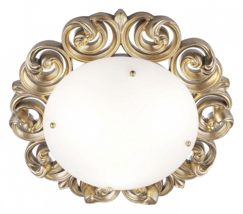 Накладной светильник Maytoni Lantana H300-03-G. Фото №1