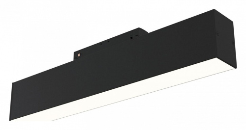 Накладной светильник Maytoni BASIS TR012-2-12W3K-B. Фото №1