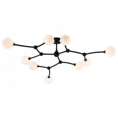 Потолочная люстра Favourite Suri 2688-9P. Фото №2